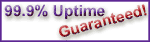 Web Hosting 99.9% Uptime Guarantee